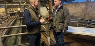 Farmers urge action in 'time of crisis'