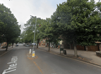 Growing cost of replacing town trees