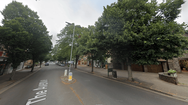 Growing cost of replacing town trees