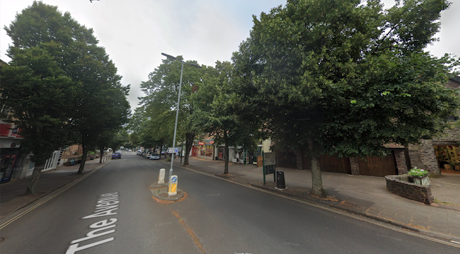 Trees in The Avenue, in Minehead town centre.