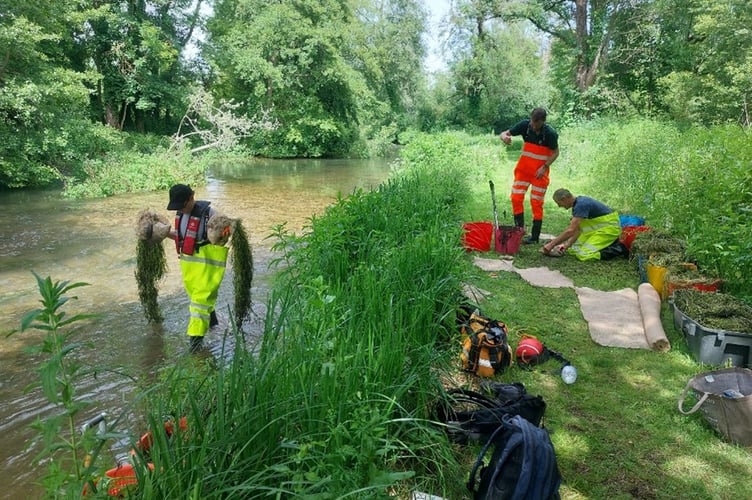 A river clean up being undertaken by Environment Agency staff.