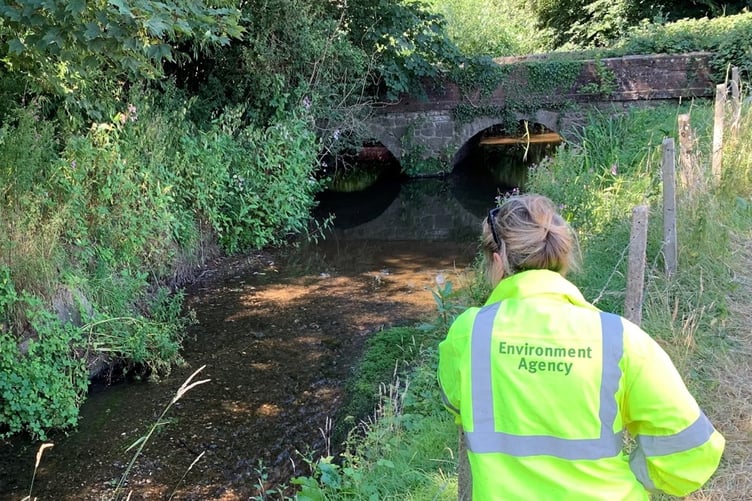An Environment Agency officer checking a river.