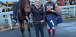 Pond House rainfall heading for record January 