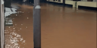 Mopping up after Storm Chandra