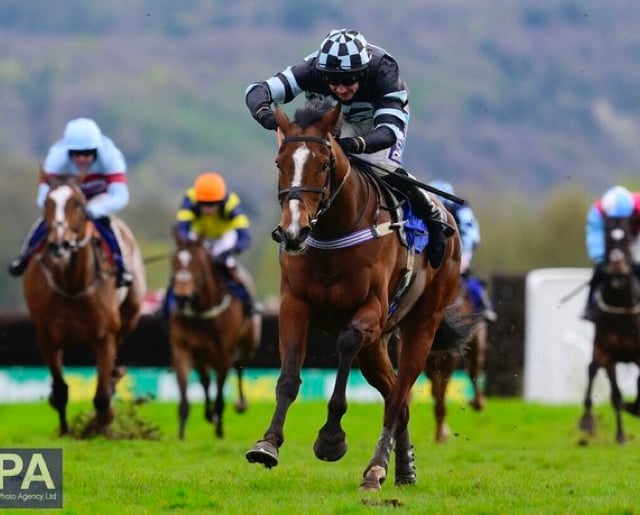 Point to point blow for Tiverton Foxhounds at Chipley