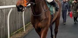 Gold in the Rivers in splendid victory 