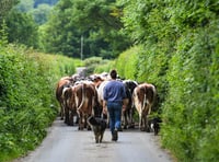 Royal support for hill farming families