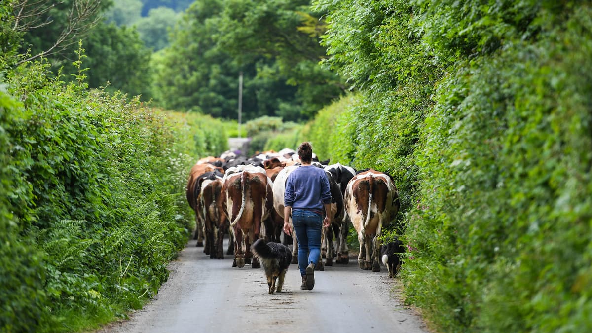 Royal support for hill farming families