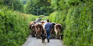 Royal support for hill farming families