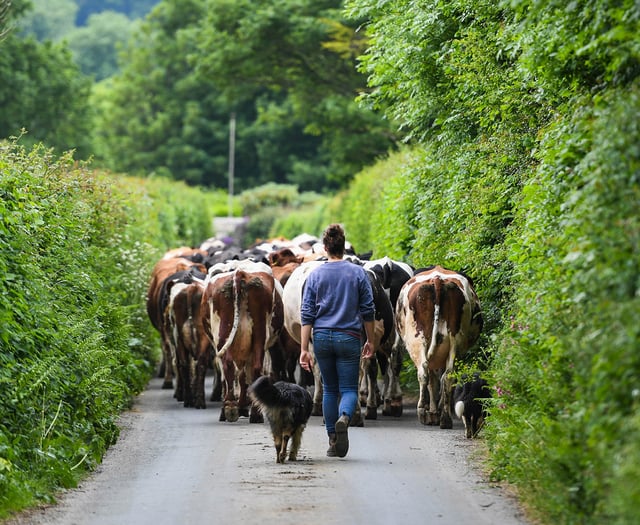 Farm steak supper is just for men
