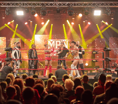 Half-term breaks new prices and new shows