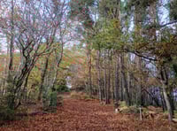 Letters from our readers across West Somerset and beyond