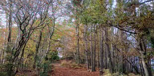 Letters from our readers across West Somerset and beyond