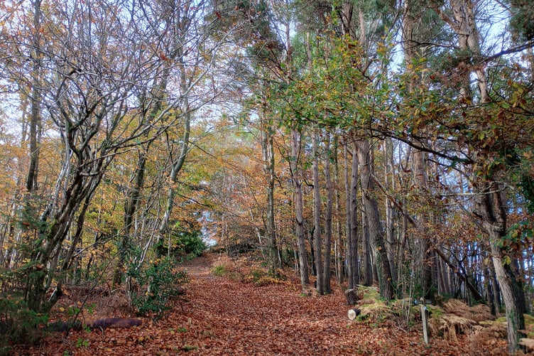 En route from Minehead to Dunster on a lovely sunny day. PHOTO: Fiona Haigh