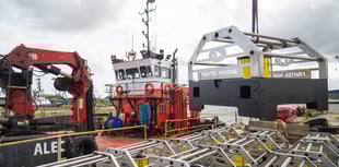 Ultrasound used to save Hinkley C fish