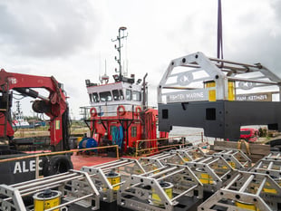 Ultrasound used to save Hinkley C fish