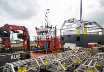 Hinkley Point C claims success with sea trials of ultrasound fish deterrent