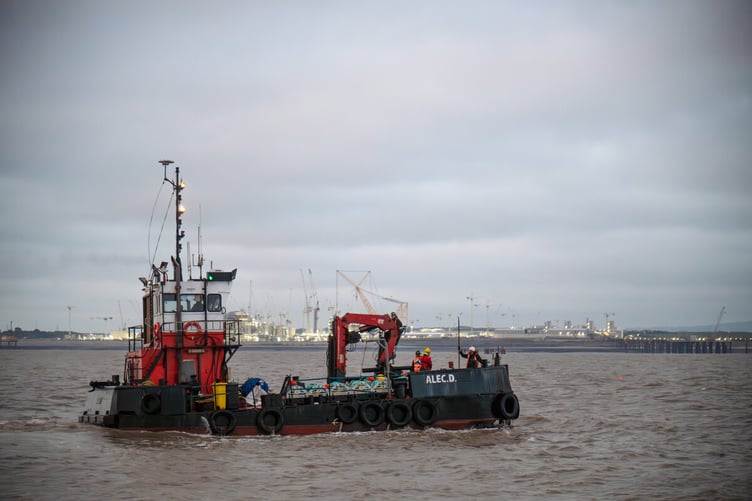 Sea trials have been held of an ultrasound system to save fish in the Bristol Channel being sucked into Hinkley Point C's cooling water intakes.