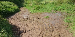 'Month of Mud' festival on the hills