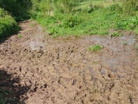 'Month of Mud' festival on the hills