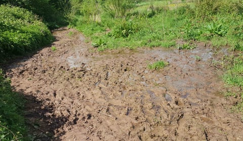 'Month of Mud' festival on the hills
