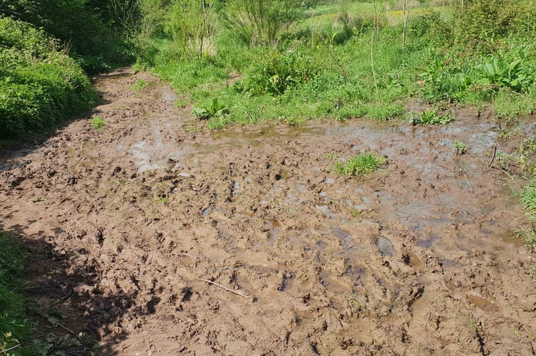 Mud will feature heavily in a month of activities on the Quantock Hills in February.
