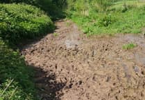 Quantock Hills sees month of activities featuring mud, mud, mud... and more mud