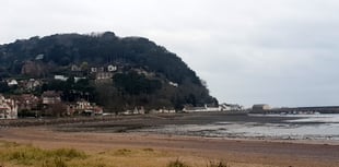 Council budget 'protects essential local services'