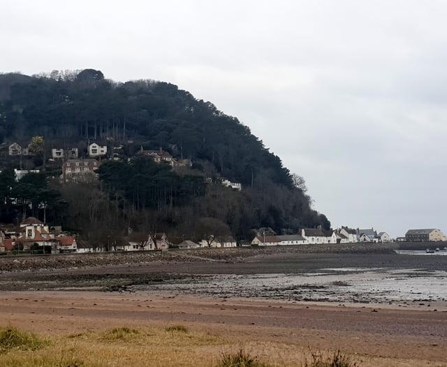 Council budget 'protects essential local services'