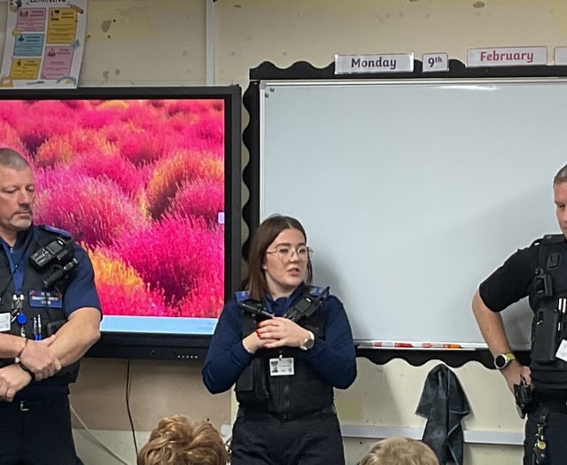 Middle school pupils think about future careers