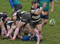 Barbarians at their best with splendid home victory 