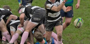 Barbarians at their best with splendid home victory 