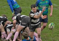 Barbarians at their best with splendid home victory