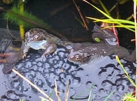 Letters from our readers across West Somerset and beyond