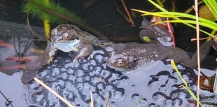 Letters from our readers across West Somerset and beyond