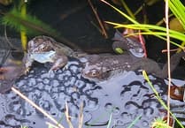 Letters from our readers across West Somerset and beyond