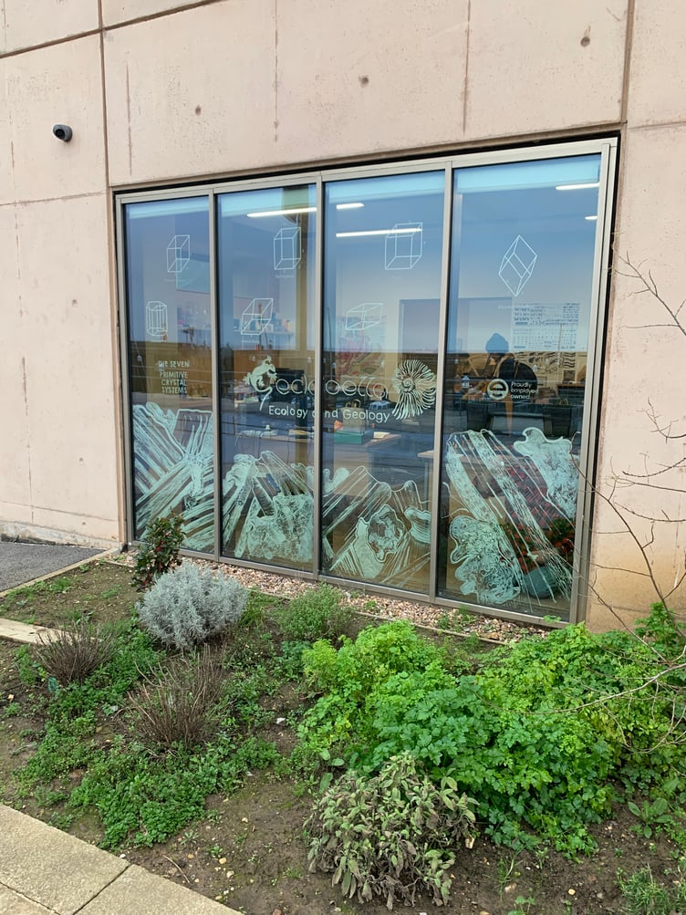 Geckoella's windows show the seven primitive crystal systems.