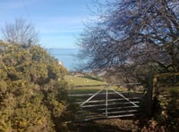 Letters to the Editor