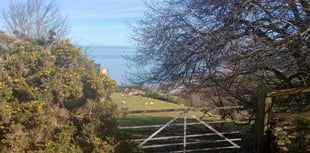 Letters to the Editor