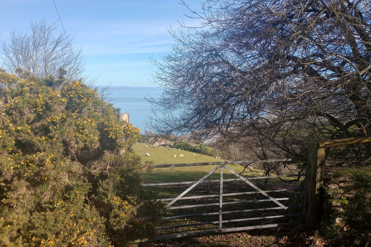 Reader's picture: Taken from Porlock Toll Road towards North Hill on Valentine's Day, by Fiona Haigh