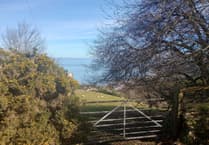 Letters to the Editor