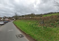 Planners say need for new homes in Wiveliscombe outweighs concerns