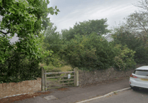 Former Minehead donkey paddock to have five-bedroom houses built in gated community