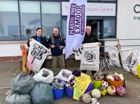 Councillors to help spring clean town