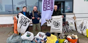 Councillors to help spring clean town