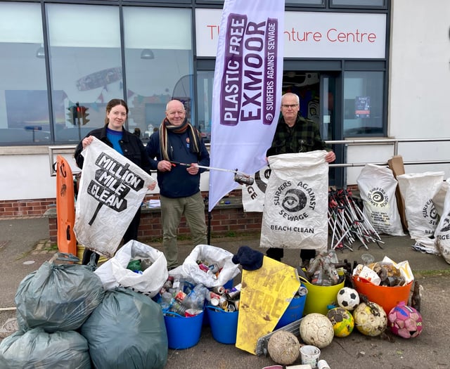 Councillors to help spring clean town