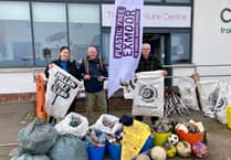 Spring clean beach litter pick being organised by Minehead Town Council