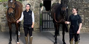 Sandhill Racing Stables chase 'glory' at Cheltenham 