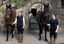Sandhill Racing Stables chase 'glory' at Cheltenham