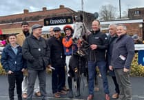 Quiet on the racing front as Cheltenham looms